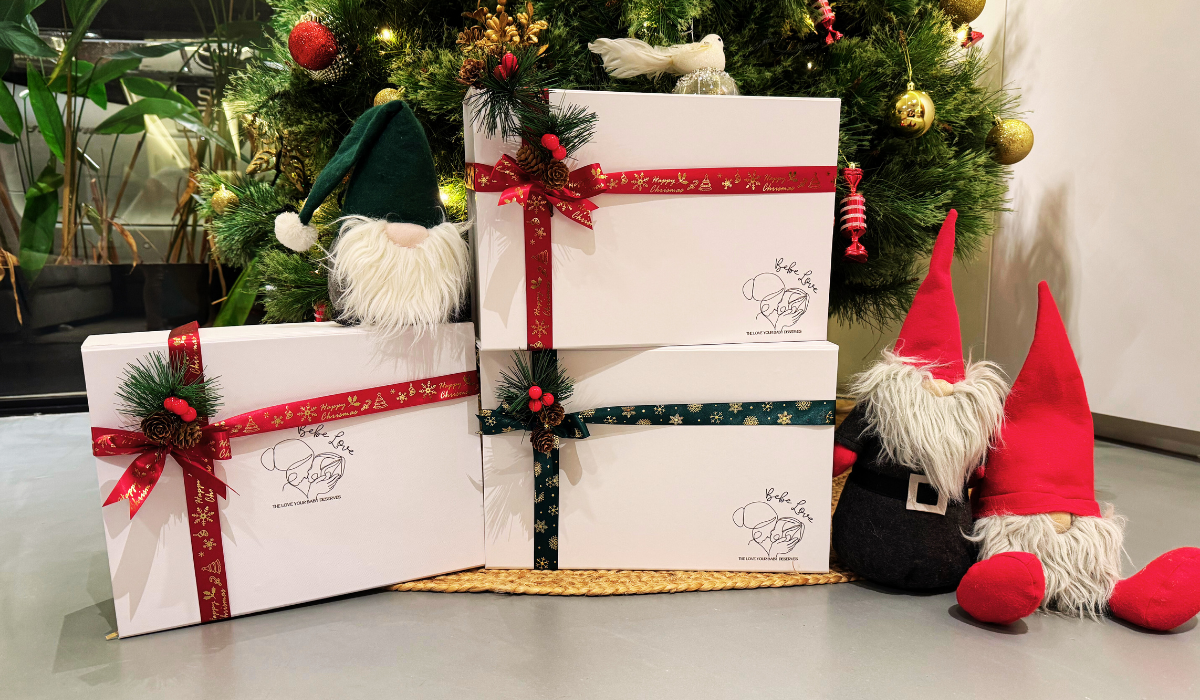 Gift Box + Christmas Festive Packaging