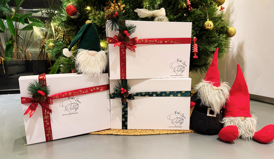 Gift Box + Christmas Festive Packaging