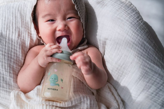 Mother-K PPSU Feeding Bottle in Bam Bam